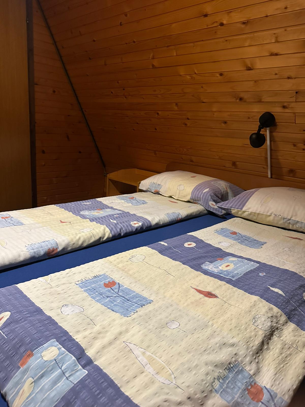 WhatsApp Image 2026-02-10 at 16.39.28