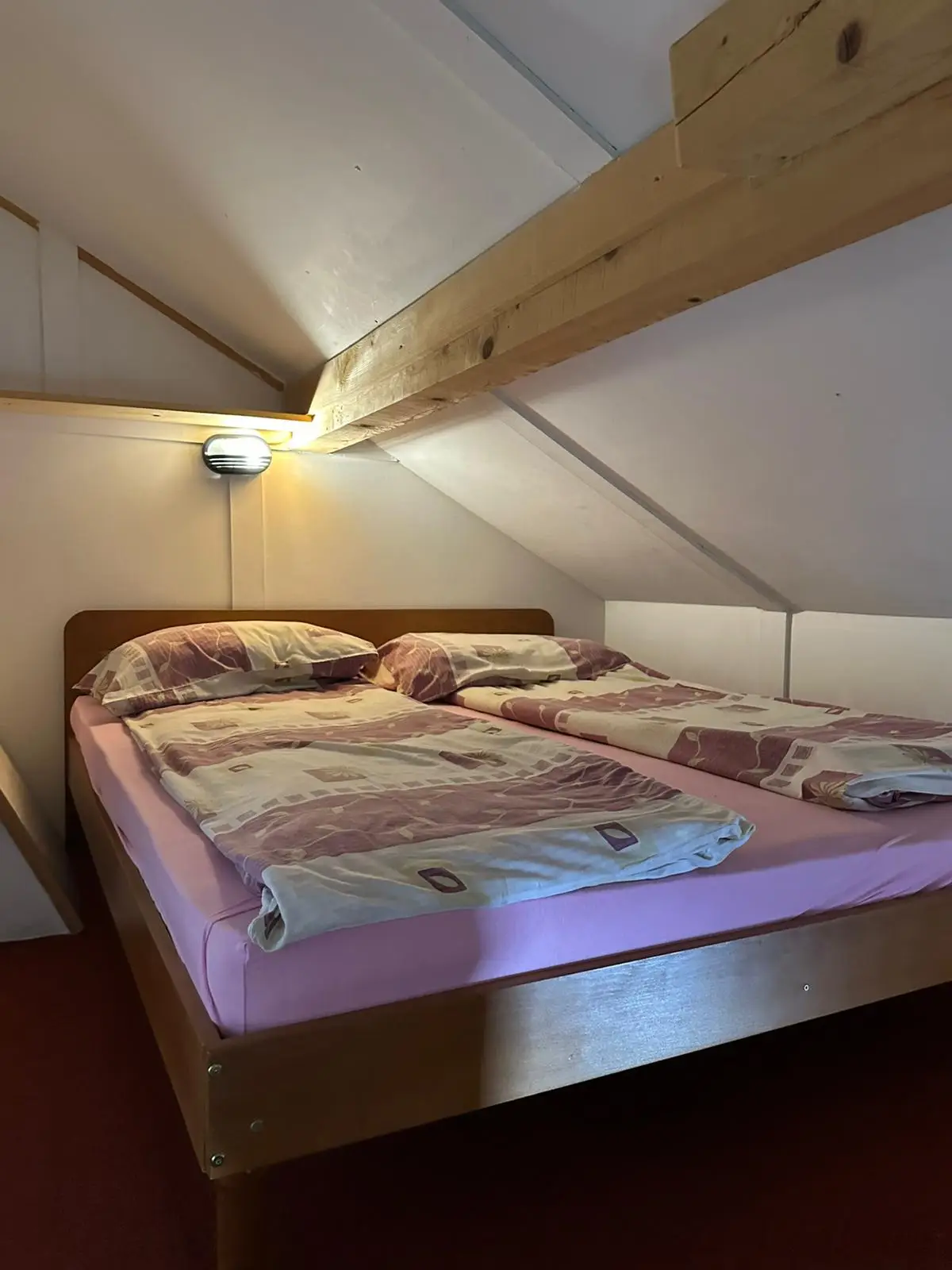 WhatsApp Image 2026-02-10 at 16.39.29 (5)