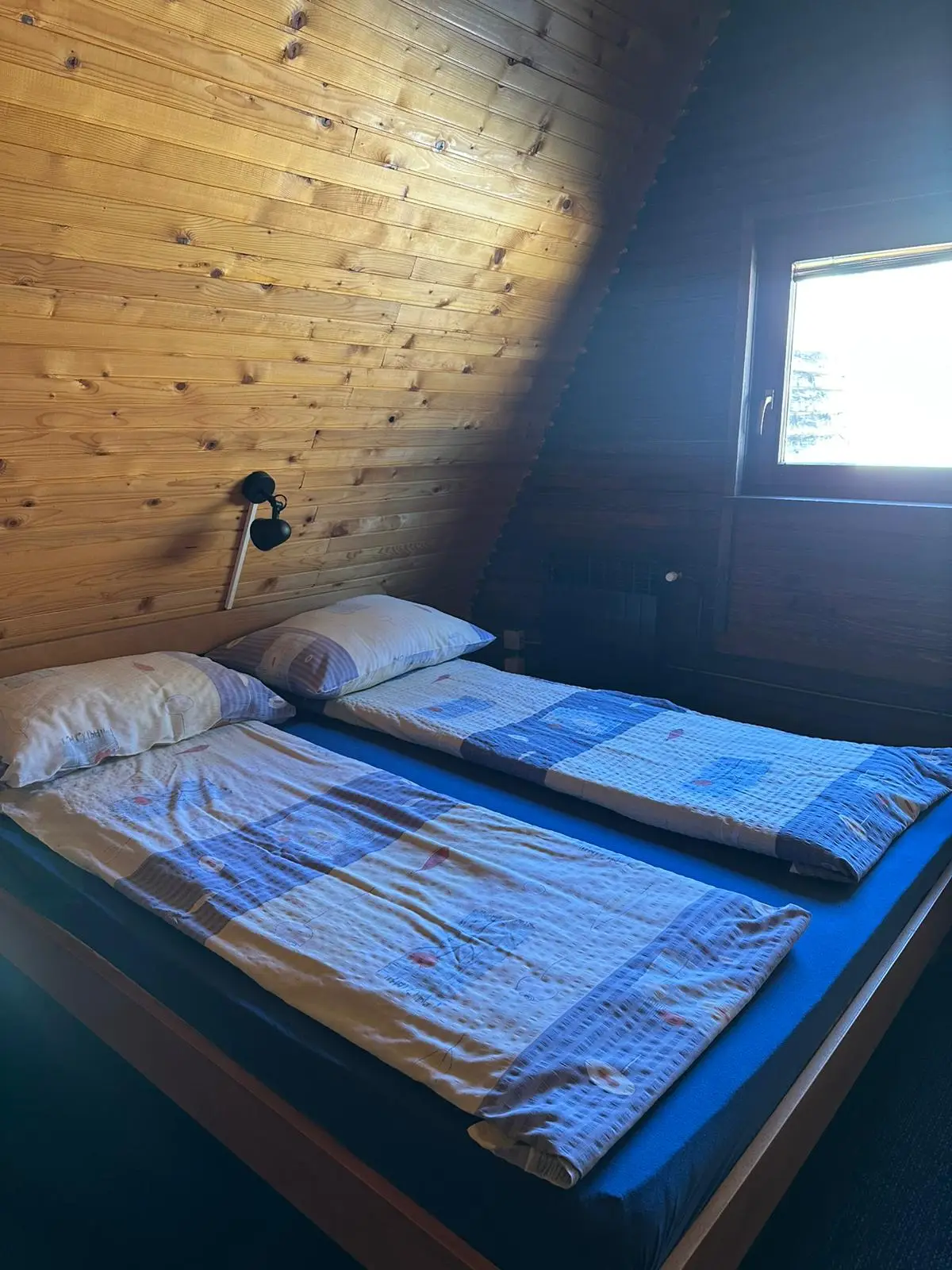 WhatsApp Image 2026-02-10 at 16.39.30 (1)