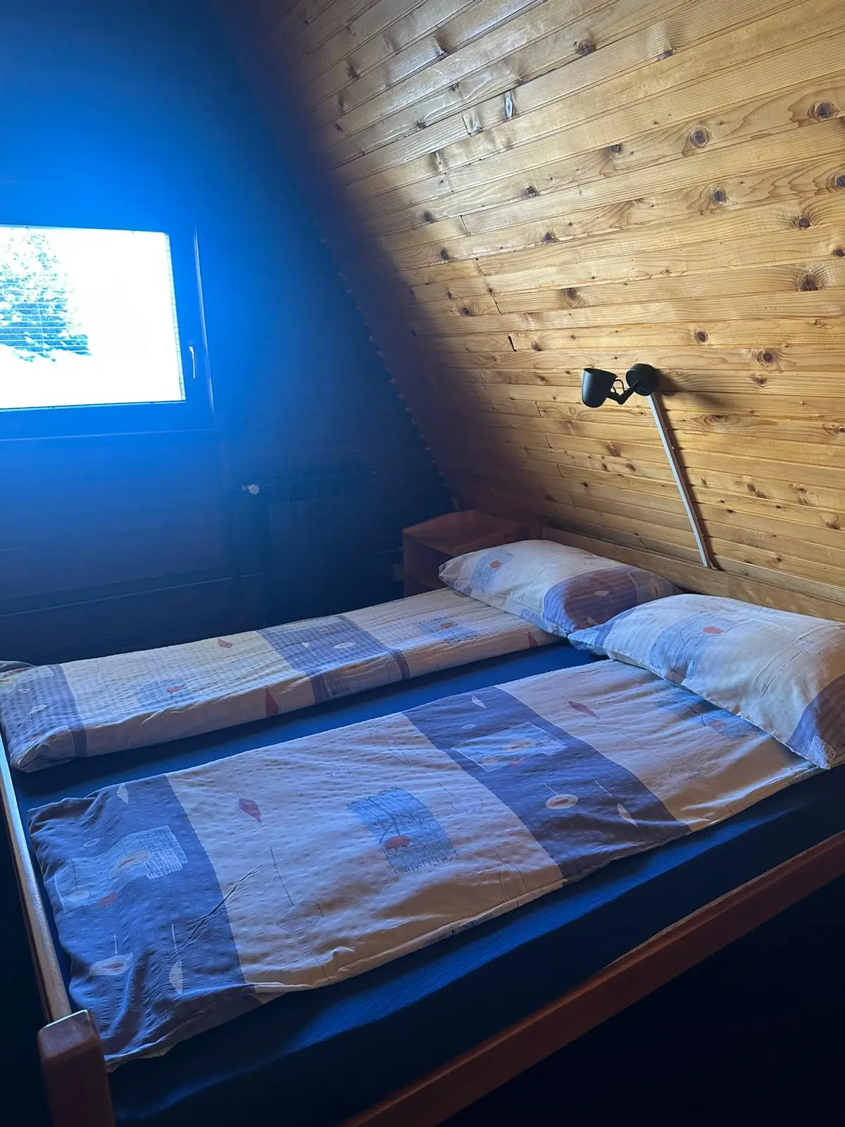 WhatsApp Image 2026-02-10 at 16.39.30 (4)